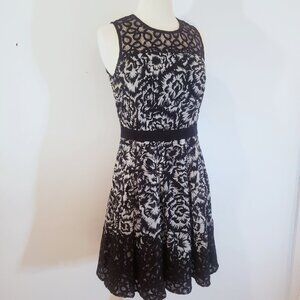 Ann Taylor Black and Ivory Lace Dress